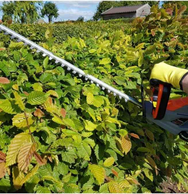 hedge trimming kildare